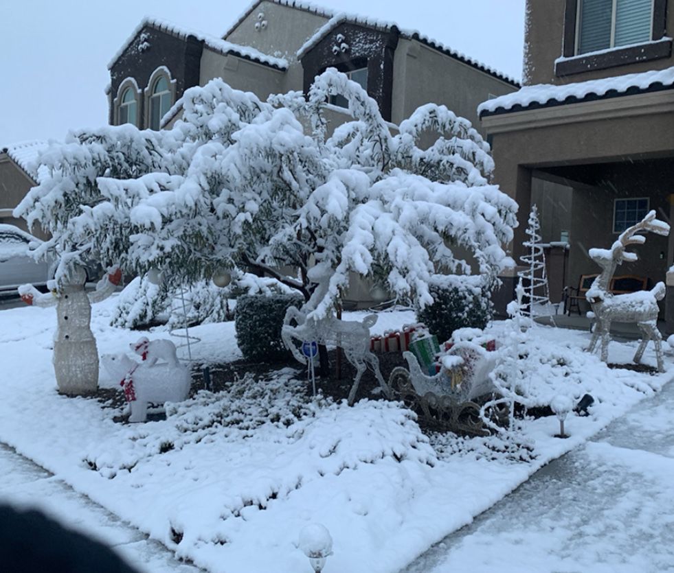 When our polar bears experienced snow!